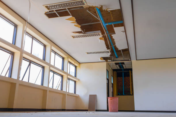 Best Water damage contractors near me  in Greenwood, MS