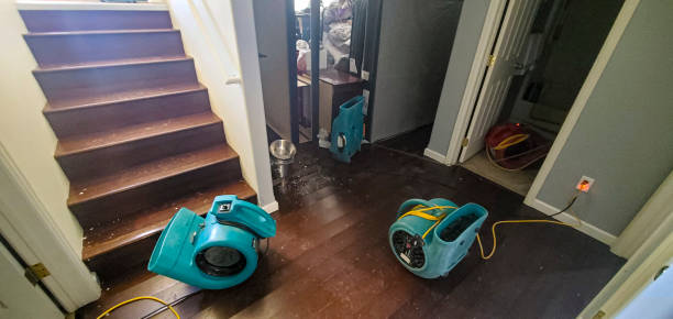 Best 24-hour water damage restoration  in Greenwood, MS