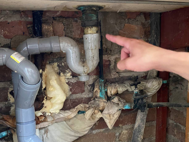 Best Fire Damage Restoration  in Greenwood, MS